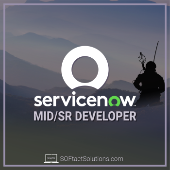 ServiceNow Developer Mid/Sr.