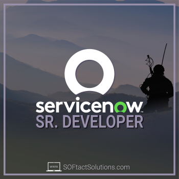 ServiceNow Developer